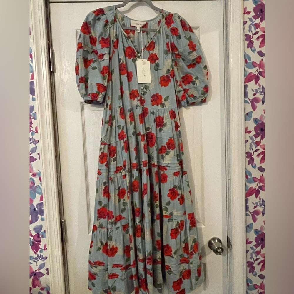 The Great Pleated Ravine dress in Western Rose